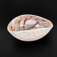 Yalos Murano Glass Shell Bowl