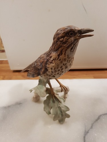 Goebel large song thrush - goebel,