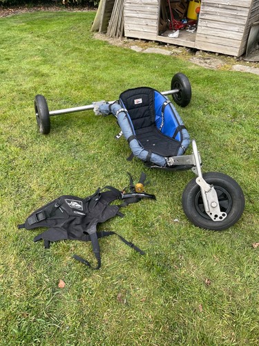 Custom kite buggy chameleon - custom, buggy,chameleon