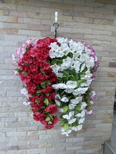 Hanging basket - hanging,