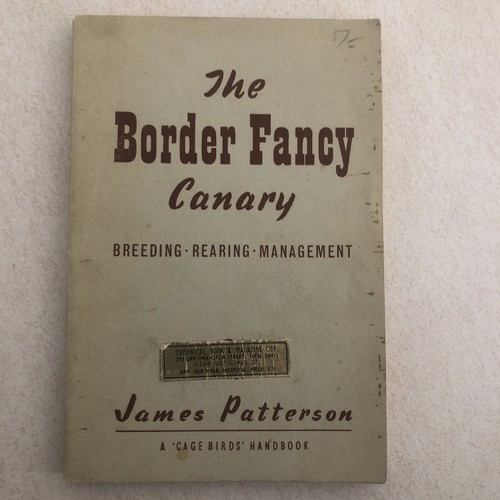 The border fancy canary - the,