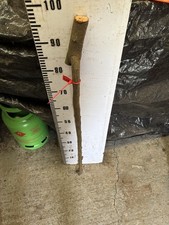 Blackthorn SHANK WALKING STICK