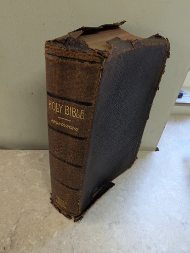Sunday school holy bible - school,