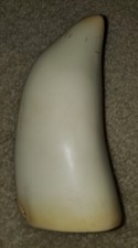 Vintage 595 Grams Artek Blank Reproduction Whale replica tooth