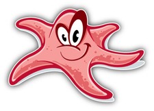 Car sticker starfish k2645