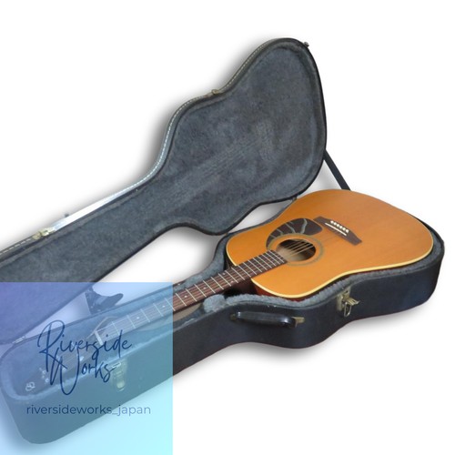 Seagull cedar acoustic - seagull,