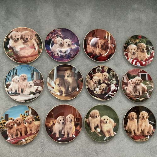 Royal doulton collector - royal,