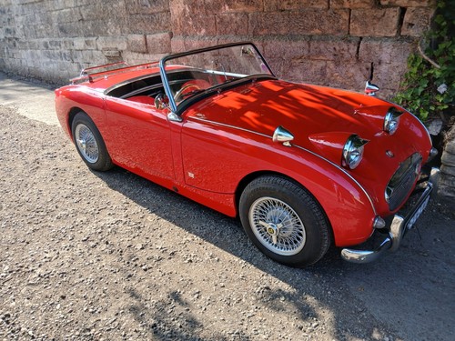 Austin healey frogeyed - healey, sprite