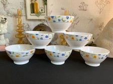 6 Luminarc Arcopal , France