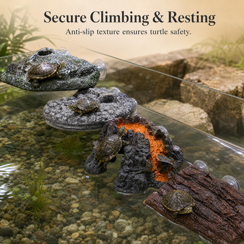 Turtle tank basking ledge and - turtle,