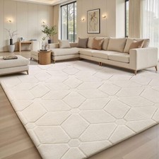 Fluffy Rugs Anti-Slip Large