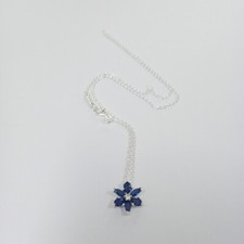 Pandora Herbarium Cluster