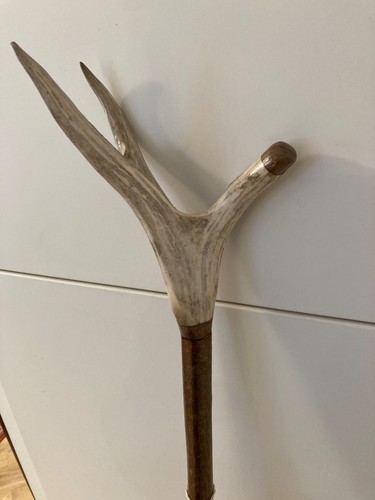 Tall trident stick on - stick,