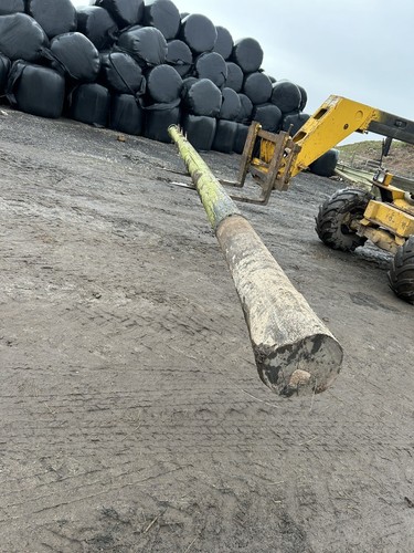 Telegraph poles - telegraph,