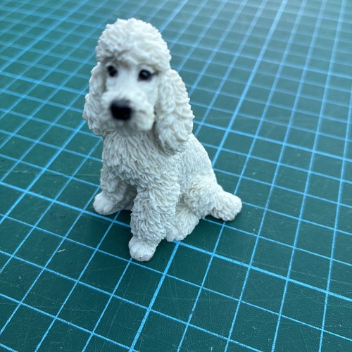 Castagna white poodle sitting - castagna,