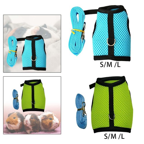 Cute harness with leash - cute,