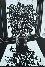 Linocut "Ficus Benjamina"