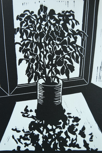 Linocut ficus benjamina - "ficus, benjamina"