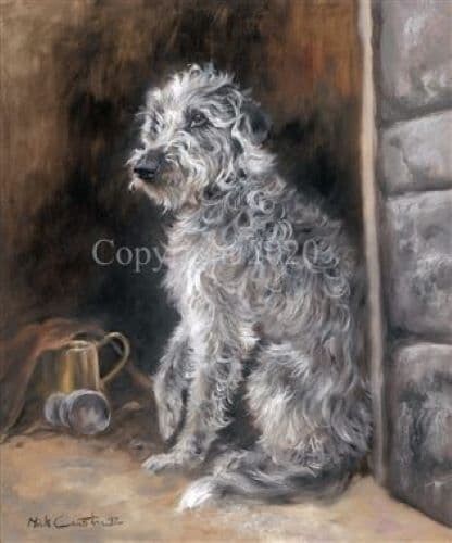 Mick cawston alfred lurcher - 'alfred',