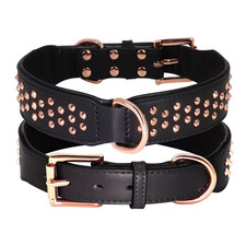 Wide Leather Rivet Studded Dog