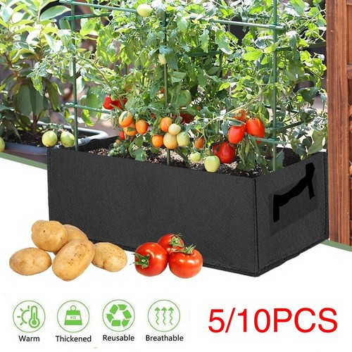 10pcs large plant - large,