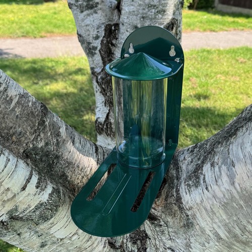 Squirrel feeder metal garden - squirrel,