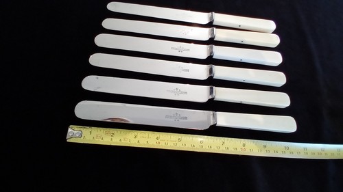 Very large antique bone - antique,