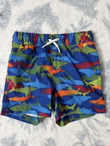 Lands end swim - end,