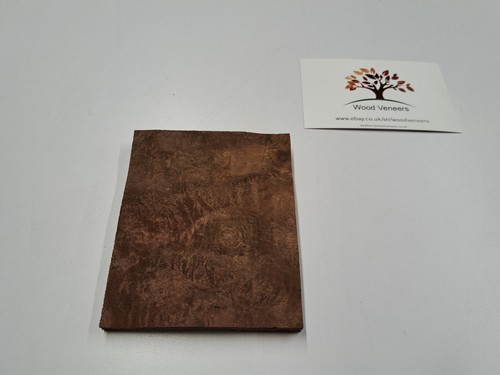 Burr walnut veneer - walnut, natural