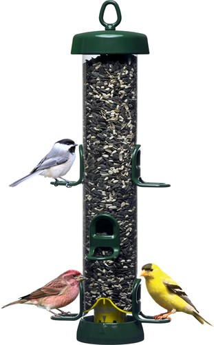 Wild bird feeder - feeder, seed