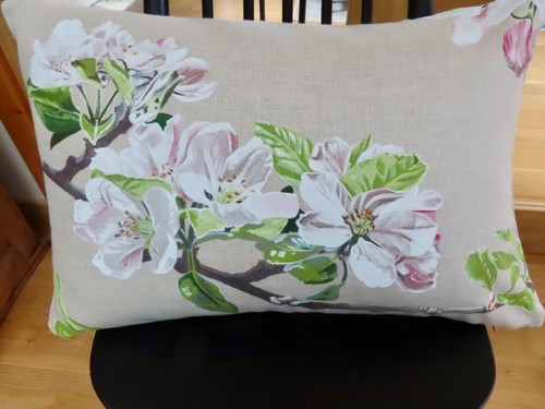 Manuel canovas 24 x - "manuel,