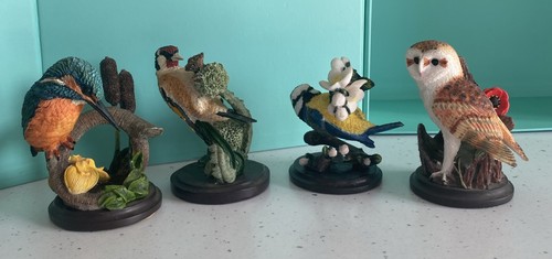 The country bird - country,