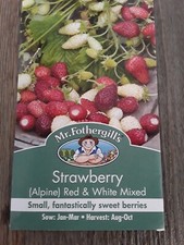 Alpine Strawberry Red & White