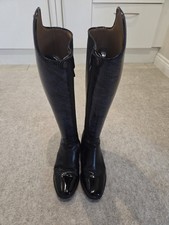 Petrie SIGNIFICANT Dressage