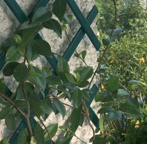 Green plastic 5ft 40cm - plastic, x