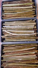 50 Live willow whips/cuttings/