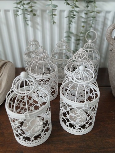 Job lot lovely - lot, white