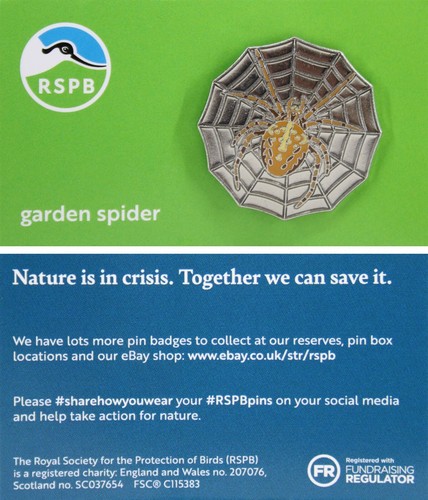 Rspb pin badge niic - badge,