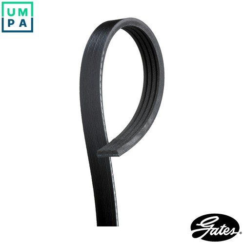 Vribbed belt 4pk887sf for - vribbed,