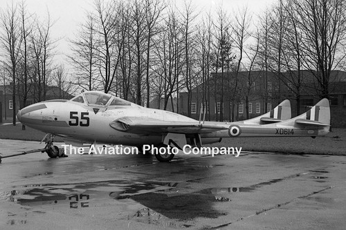 Raf fts vampire t - raf,