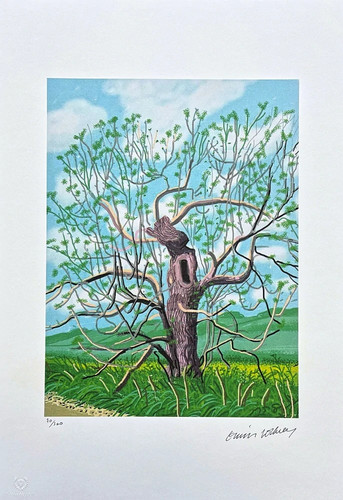 David hockney the - david, arrival