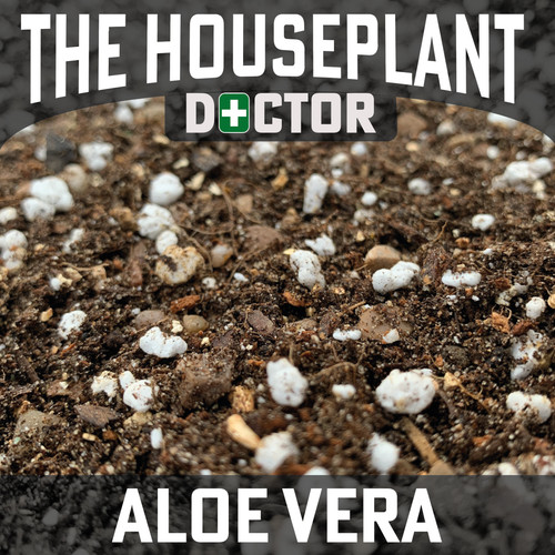 Aloe vera compost - vera,