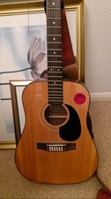 VINTAGE EROS 12-STRING