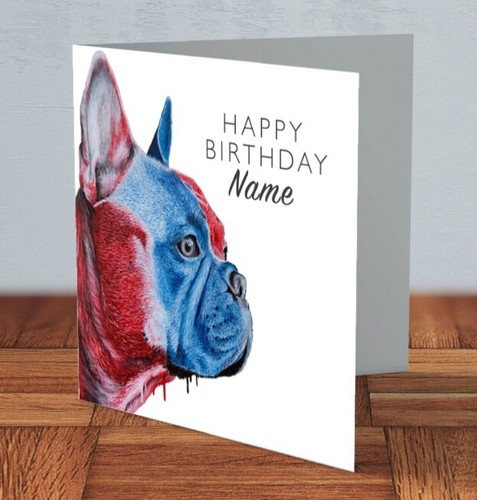 French bulldog dog - bulldog,