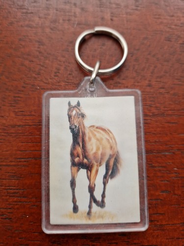 Galloping chestnut horse - *,