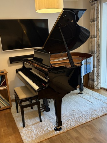 Yamaha conservatory baby - yamaha,
