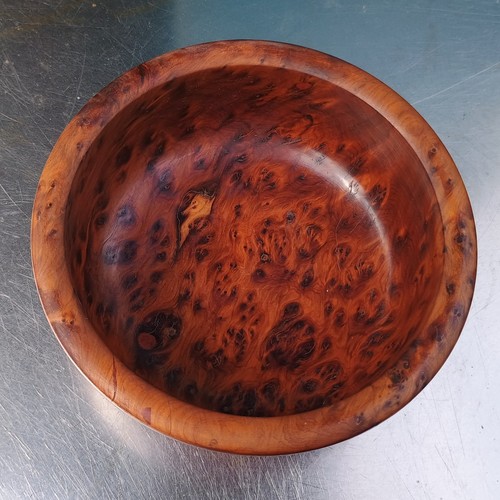 Thuya burr burl wooden wood - wooden,