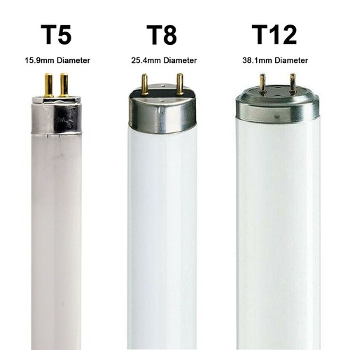 T12 fluorescent tubes - fluorescent,