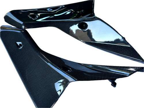 Triumph carbon fiber sprint - triumph,