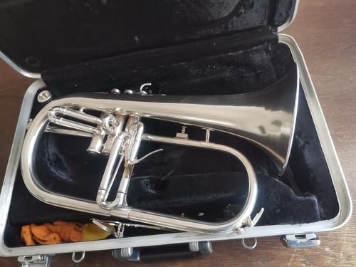 Professional flugelhorn with - b,